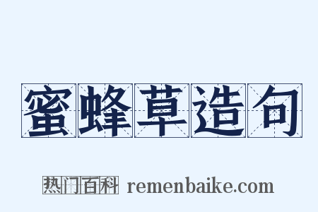 蜜蜂草造句是什么意思的图片